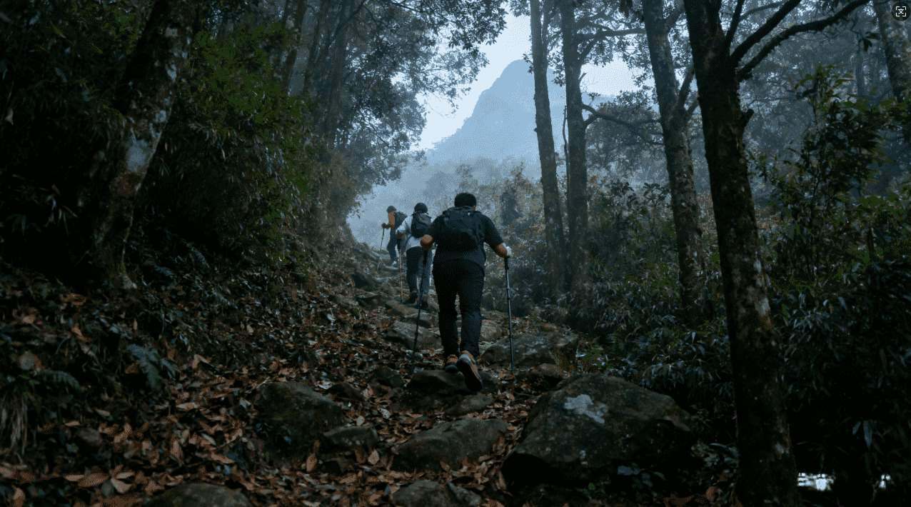 提升iOS网络速度的天行VPN网络加速器优势分析